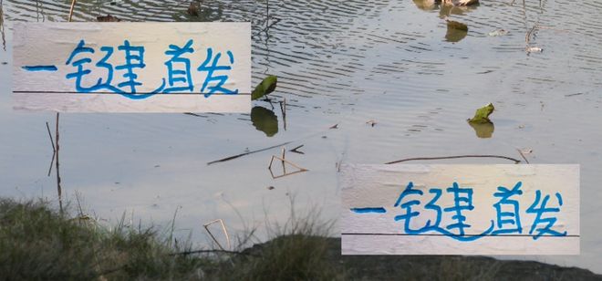 一键首发！曾经申花第一兽腰阿马杜 亚冠+联赛 都捞不到首发机会